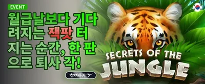 매일 제공되는 리로드 보너스 promotion